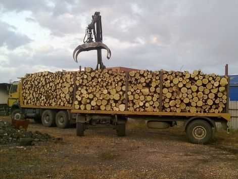Продаем чурки метровые,дрова дуб колотые,кругляк,бревна Киев