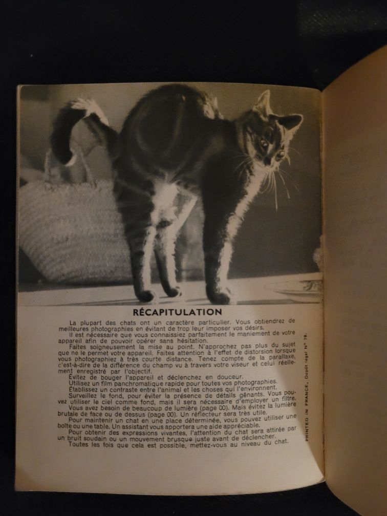 Philip Johnson La photographie de chats et des Chatons 1960 Prisma