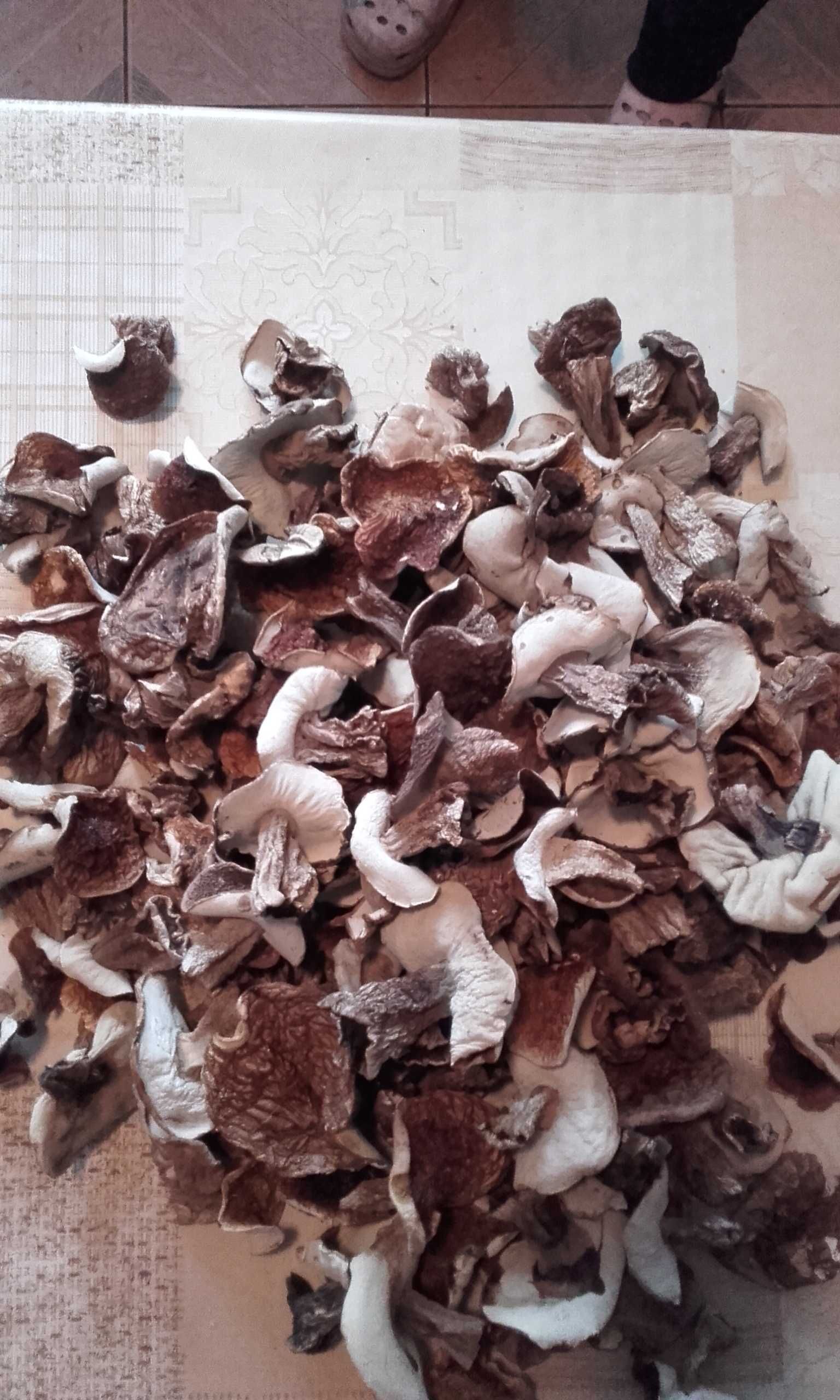 Grzyby suszone,borowiki białe 1 kg