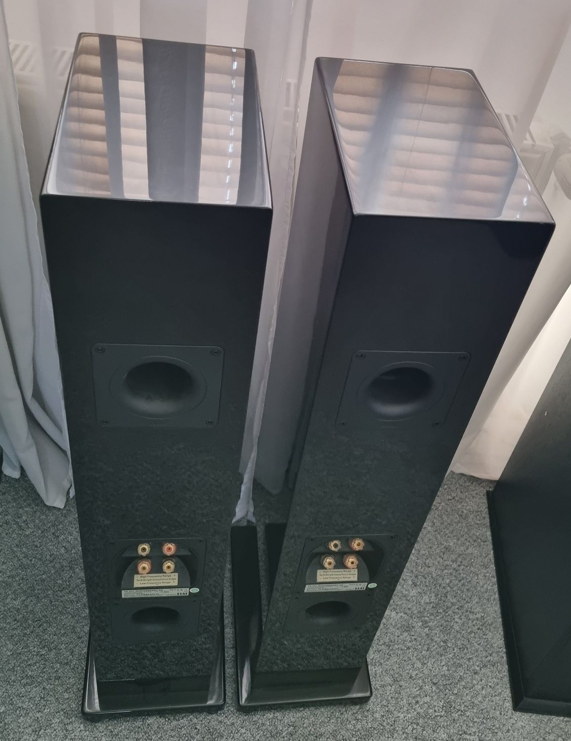Kolumny Elac fs 207