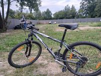 Rower WHEELER 900