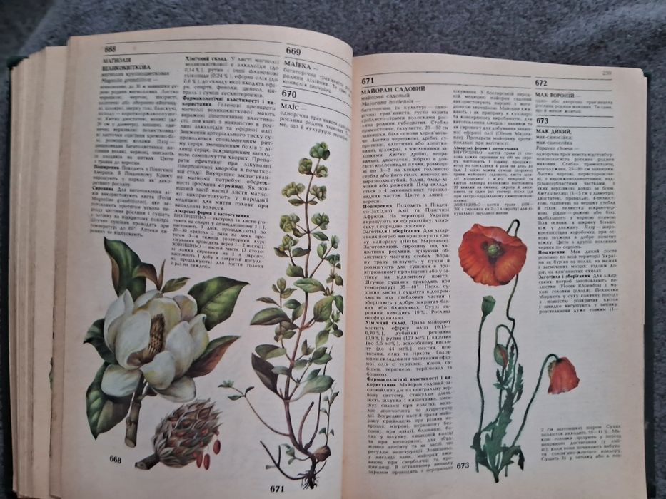 Лікарські рослини