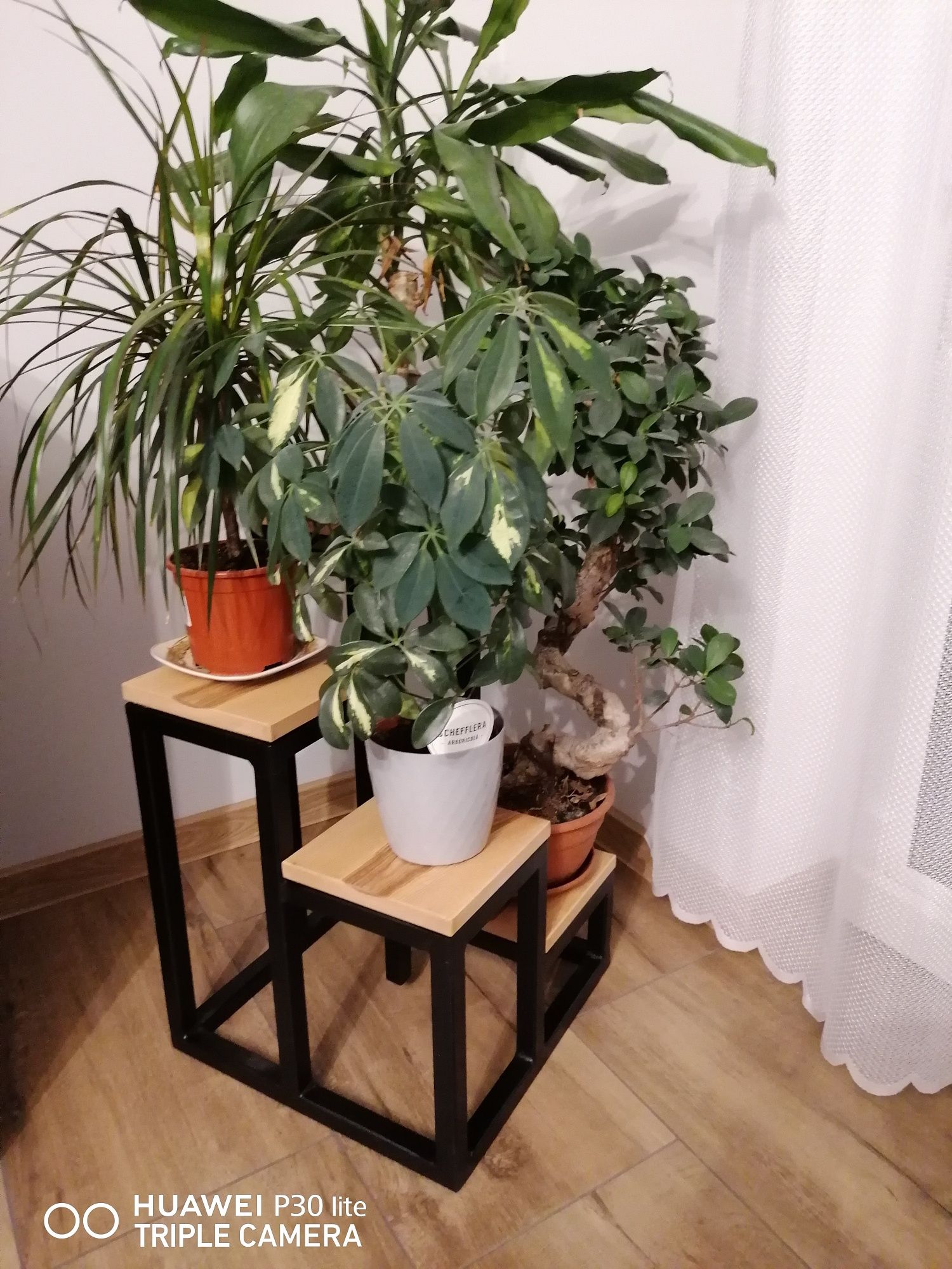 Kwietnik loftowy