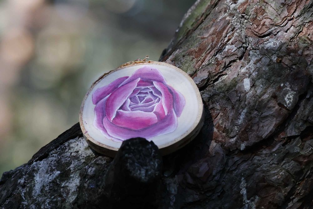 Magnes na lodówkę róża angielska