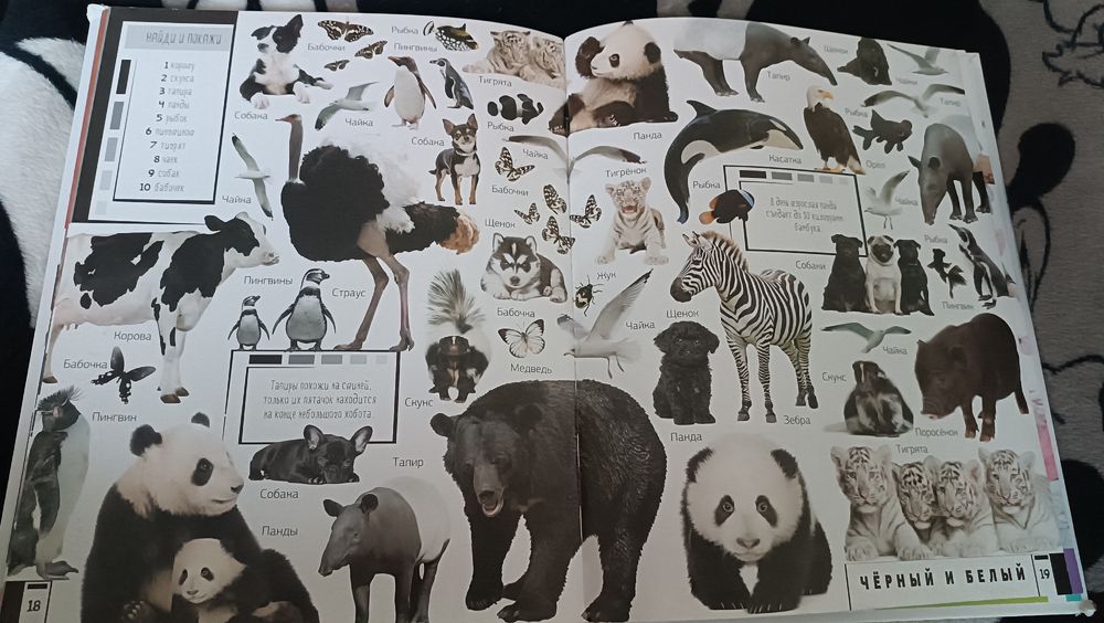 Книга Животные. Учим цвета и цифры