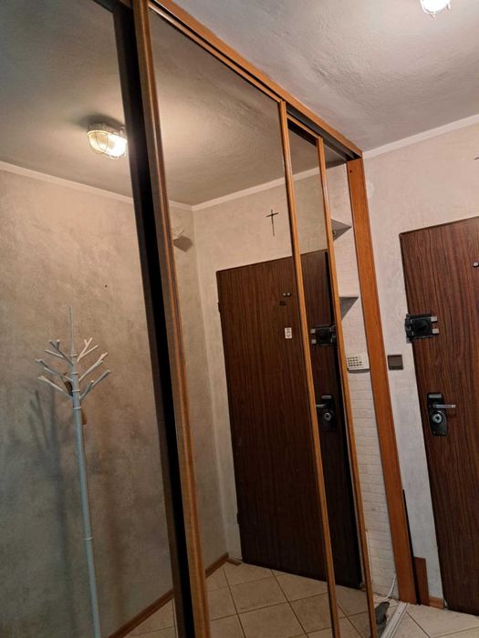 Drzwi z lustrem do szafy w zabudowie