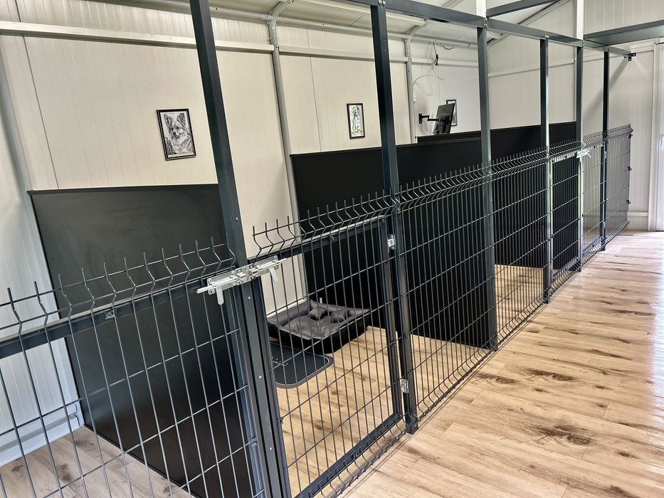 Hotel dla psów miejsce z pasją