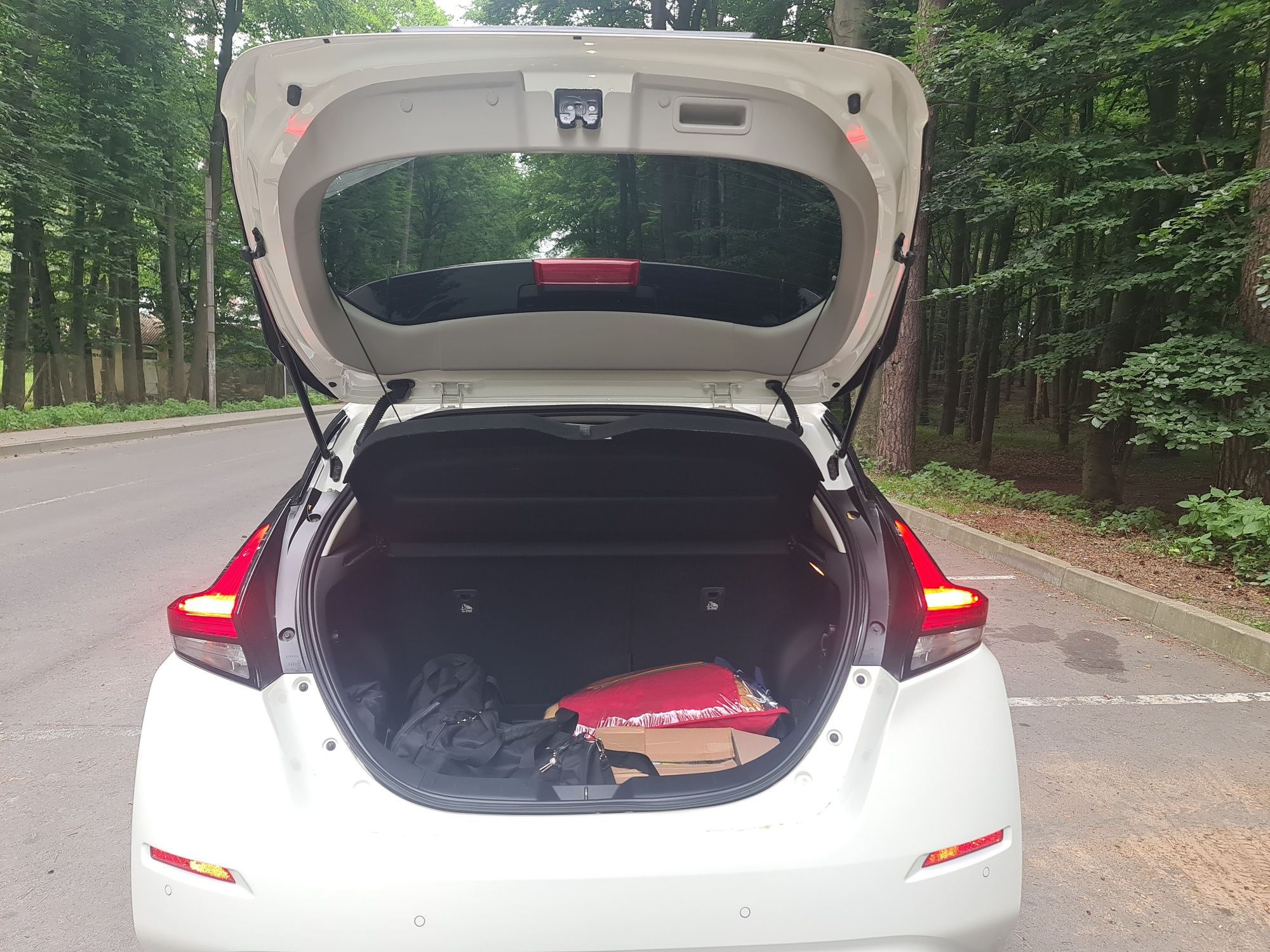 Nissan Leaf білий 40