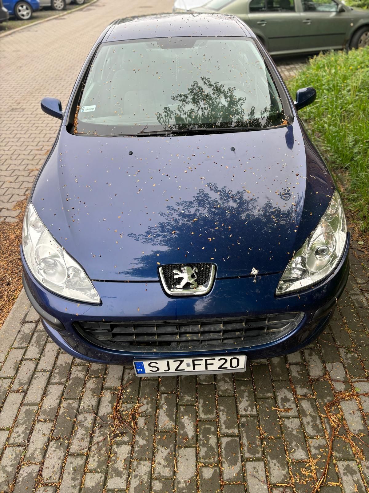 Peugeot 407 LPG!!!