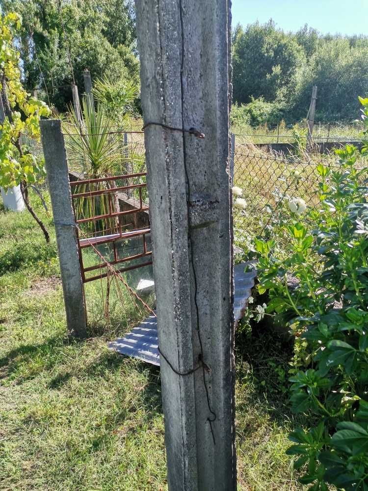 Esteios/postes em cimento para vinha ou vedação