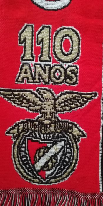 Cachecol comemorativo 110 anos