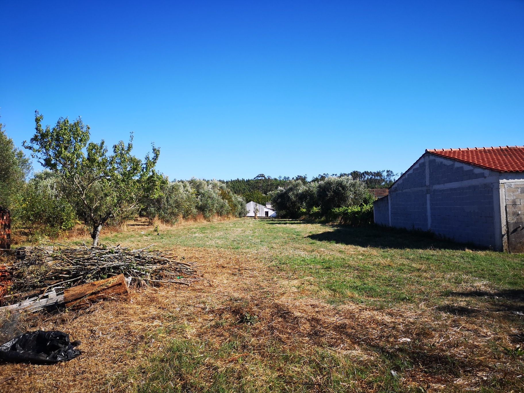 Casa com Terreno em Soure