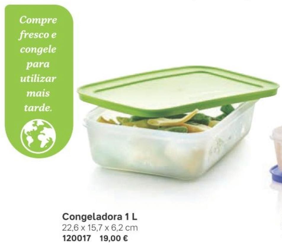 2 Caixas de Congelação Tupperware