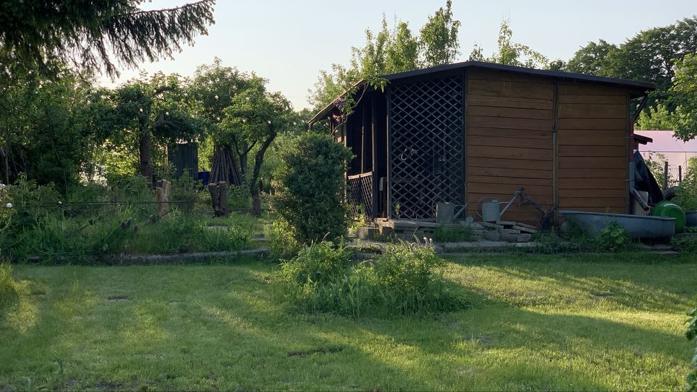 Działka ROD z drewnianym domkiem