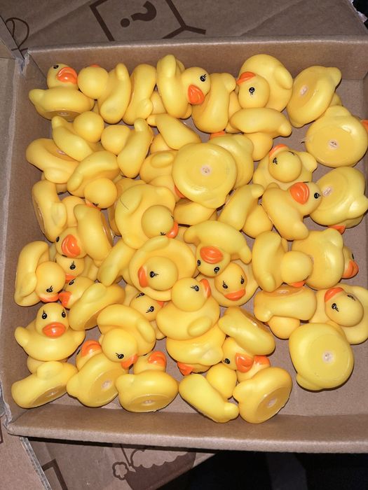 Varios artigos novos