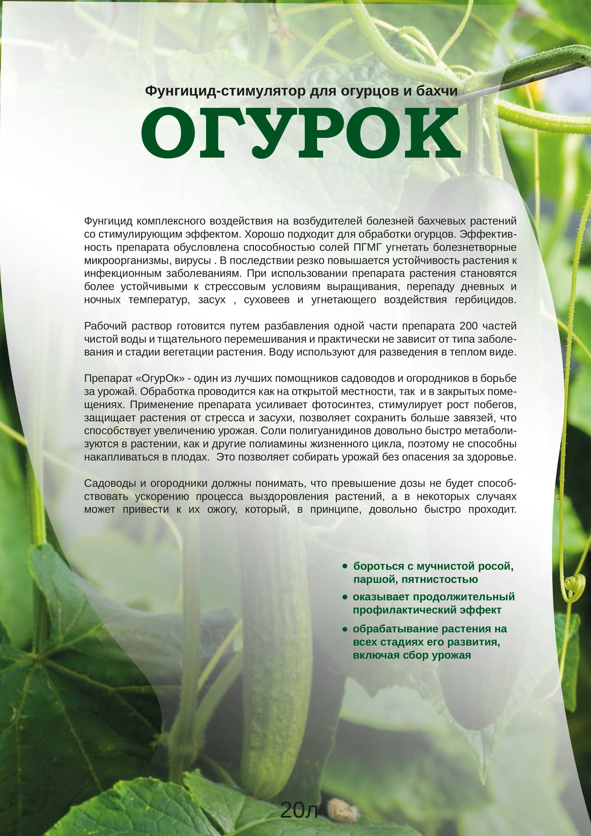 Фунгицид-стимулятор для огурцов и бахчи «ОгурОк»