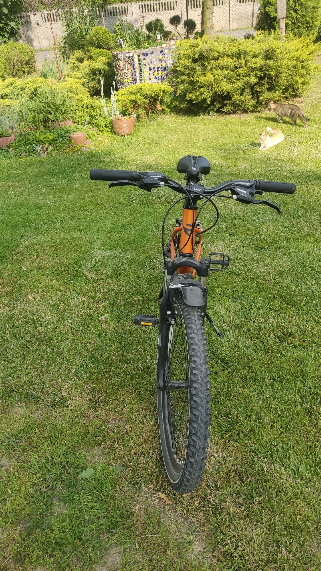 Rower Kands Dragon