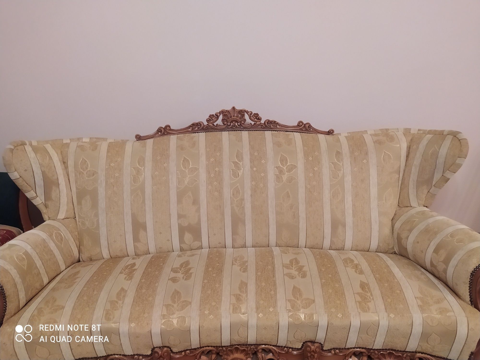 Piękna Sofa stylowa