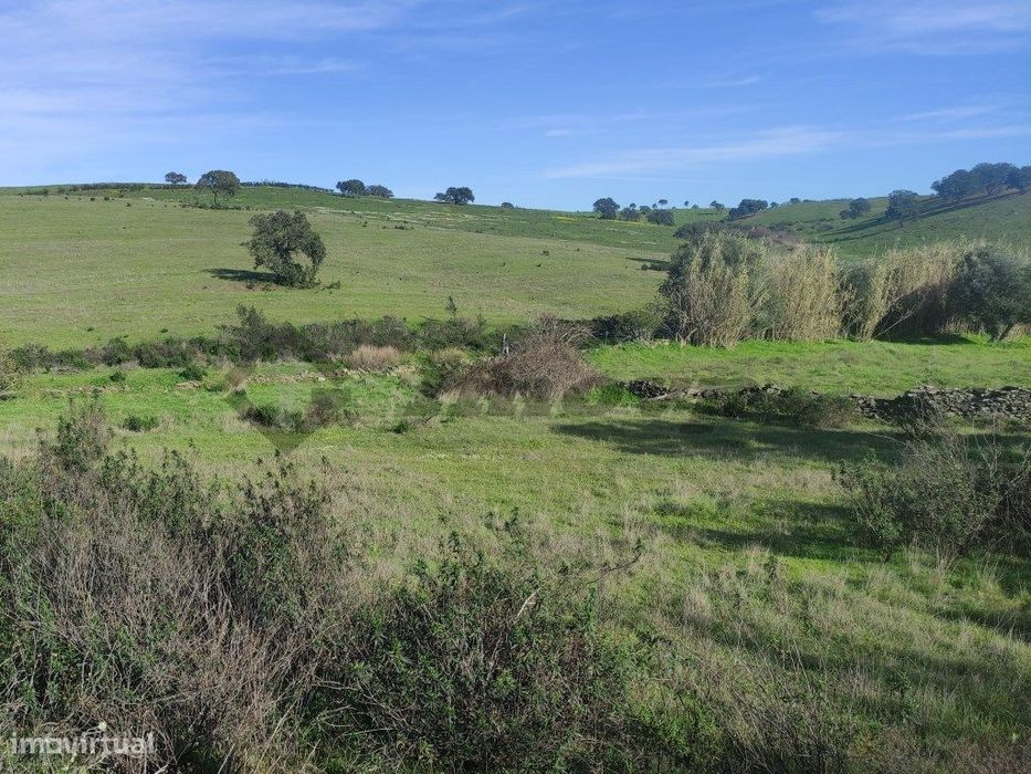 Terreno rústico de 0,65Ha localizado a cerca de 250mt da localidade...