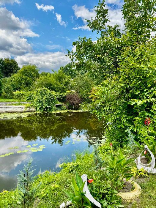 Затишна дача в СТ Лісова Поляна, Вознесенське A11