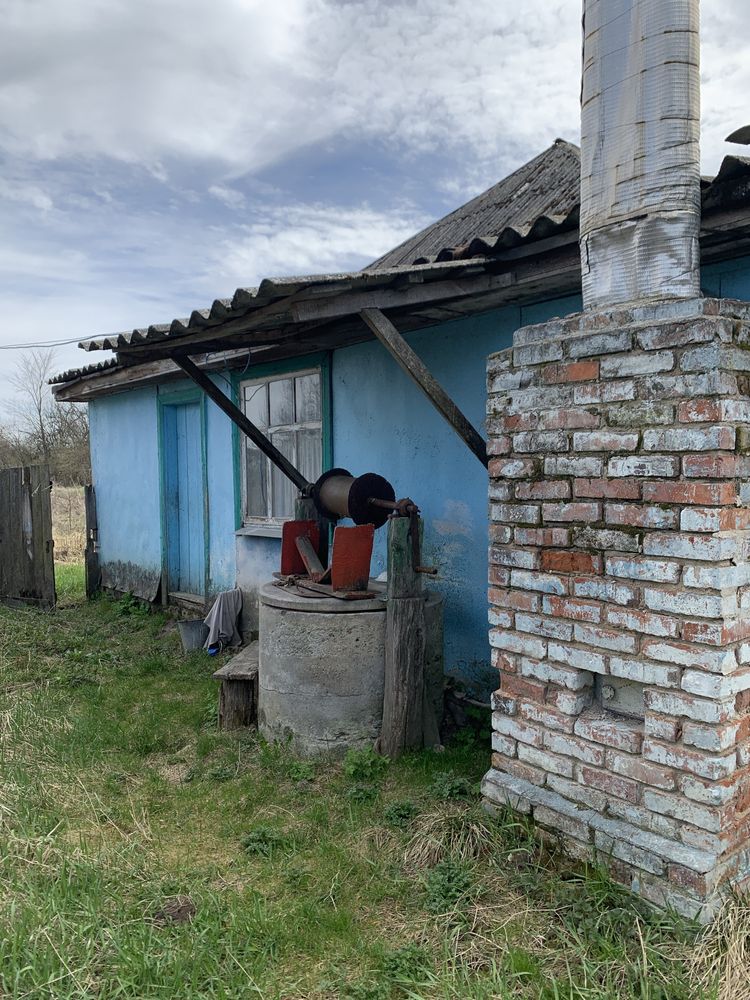Будинок в селі Олишівка,недалеко від Чернігова.Власник.