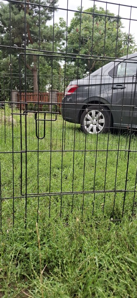 Zagroda/klatka dla psów