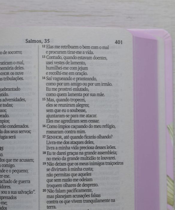 Bíblia Sagrada Lírios | NVI | Nova | Capa Dura Rosa