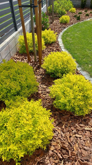 Kora sosnowa ogrodowa LUZEM !!! Transport wywrotką