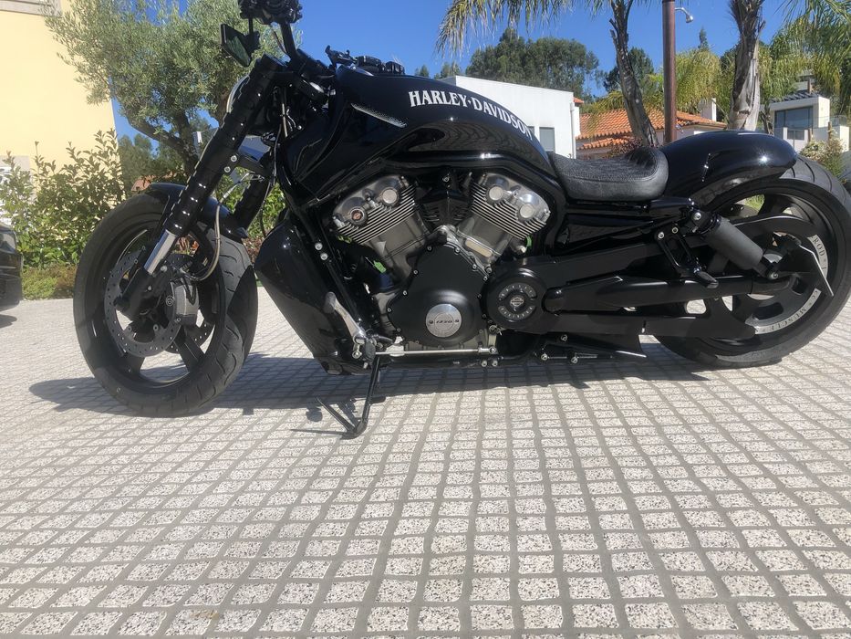Harley Davison Vrood Muscle