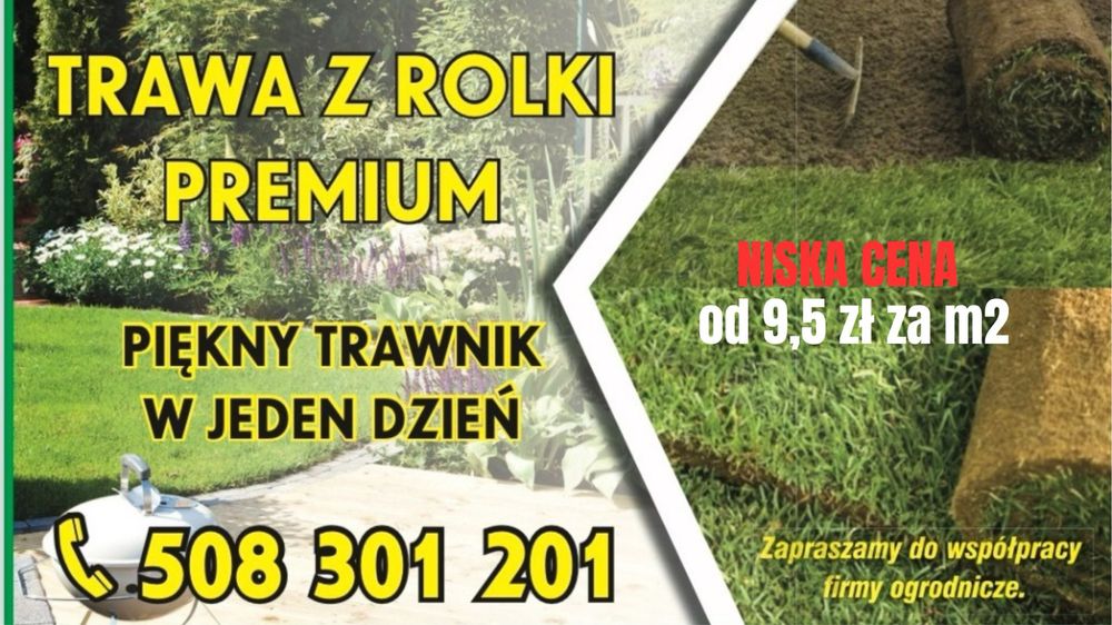 Trawa w rolce, trawa z rolki, trawa ogrodowa TRAWNIK PREMIUM