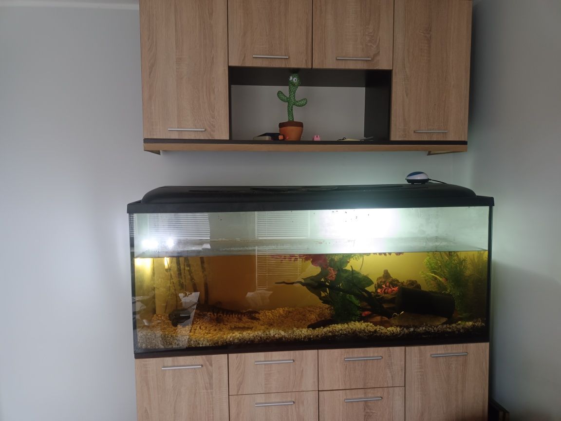 Akwarium 450l z życiem regał w komplecie stan bdb