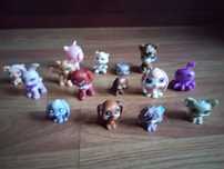 Pets  - pequenos