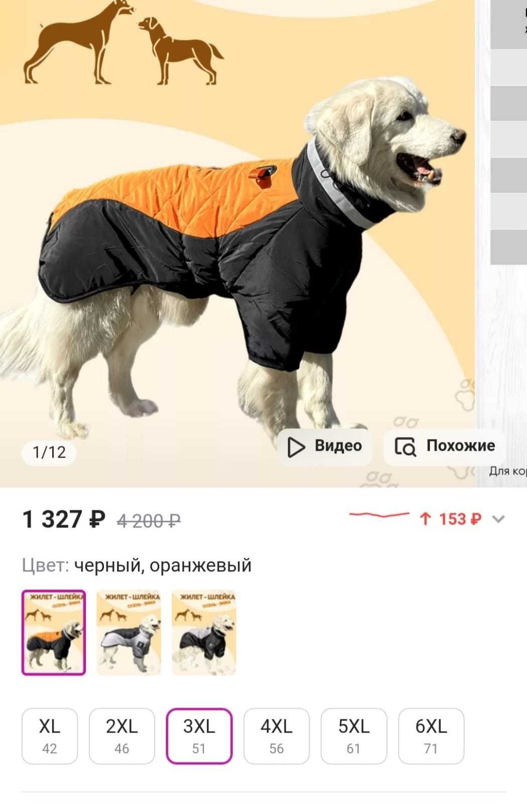 куртка для собаки