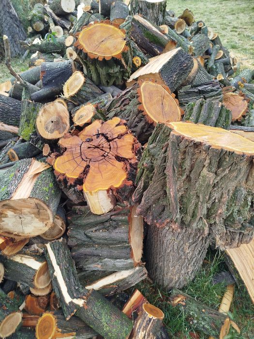 Продам дрова твердих порід