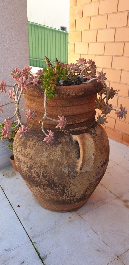 vasos de jardim/potes rusticos