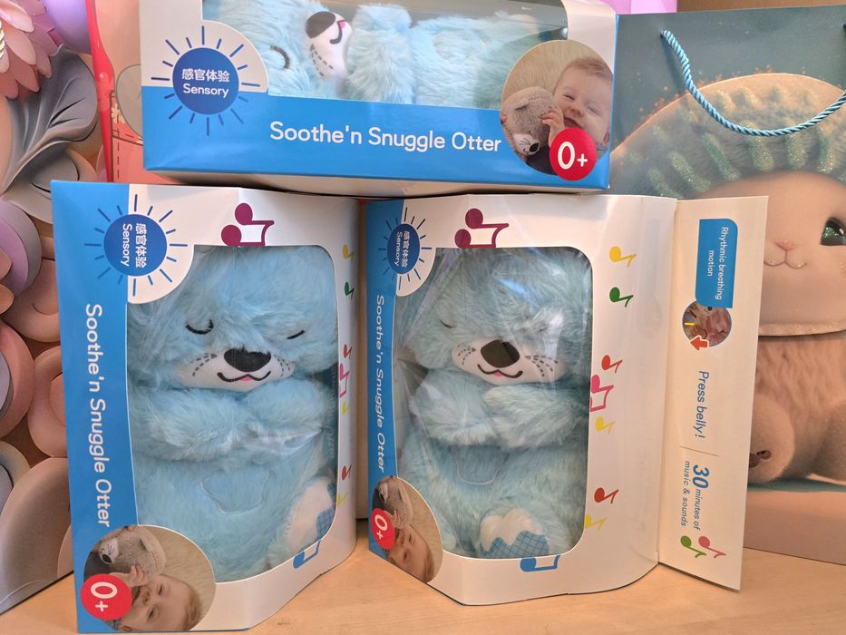 Дихаюче видреня, мішка в голубому кольорів, в подарунковій коробці