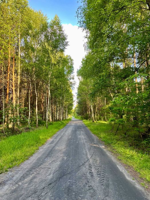 Tomawa - działki leśne z warunkami zabudowy, powierzchnia ok 2000m2.