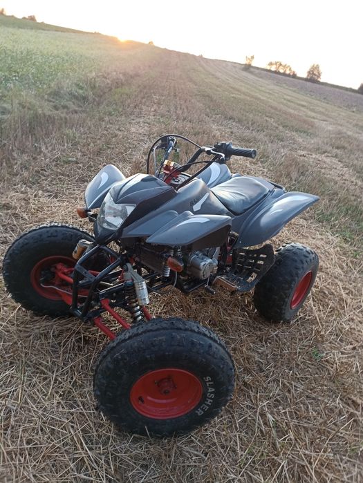 Sprzedam Bashan 200