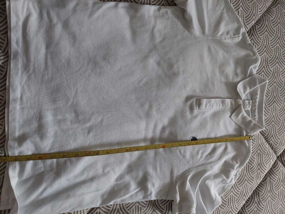 Polo – Springfield – tamanho XL