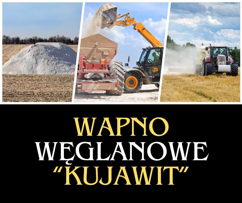 Wapno węglanowe KUJAWIT CaO: 52,9% reaktywność 60%