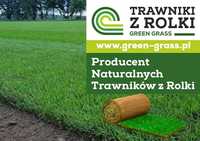 Trawniki z rolki Green Grass/ Trawa z plantacji/Producent