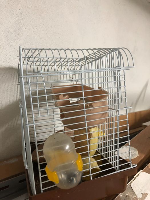 2 casotas de hamster