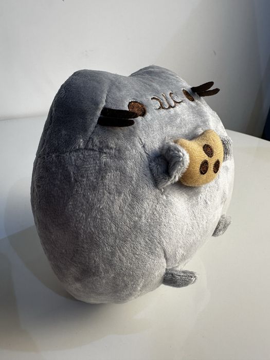 Pusheen z ciastkiem
