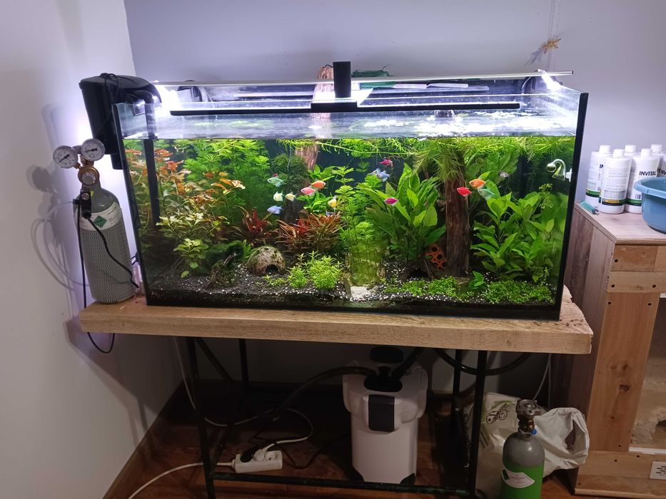 Akwarium 250L oświetlenie stelaż i filtr