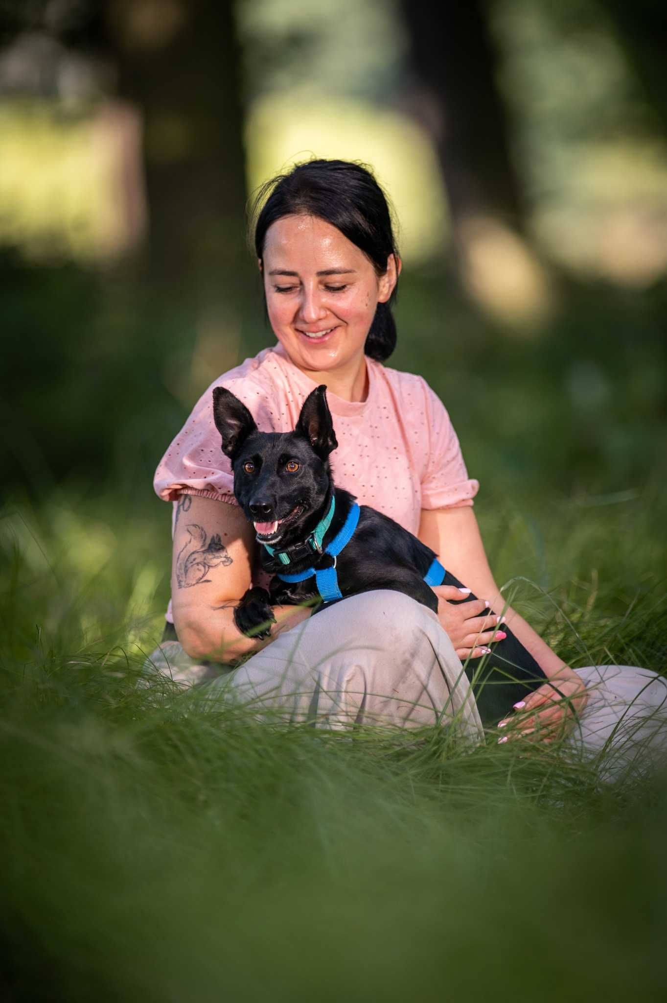 Koko - śliczny, wrażliwy, trochę wycofany psiak do adopcji