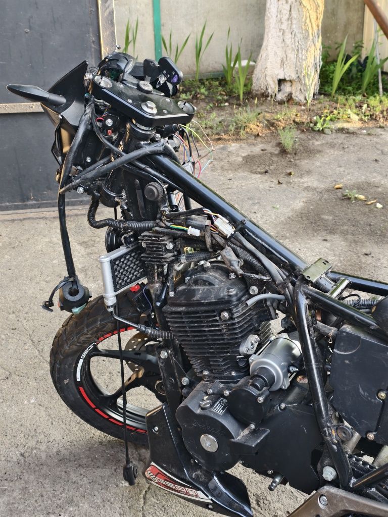 Geon pantera 250