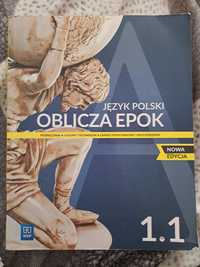 Oblicza epok 1.1 j.polski WSiP