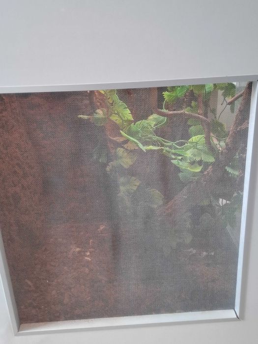 Terrarium dla kameleona - odbiór własny