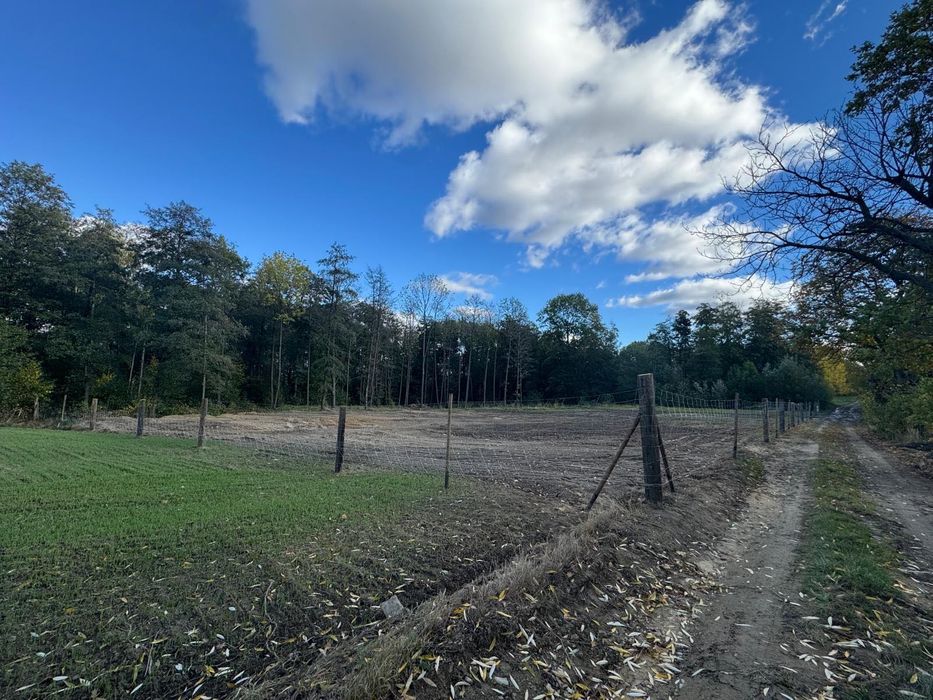 Działka budowlana Jemna 45 arów