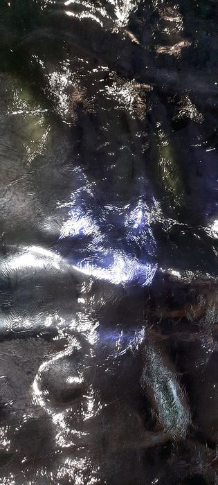 Наплак кожа полушкура